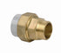 Durapipe Corzan Composite Union Brass Male Thread