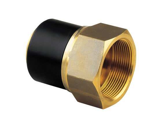 Spigot Adaptor PE-Brass Female Thread