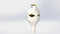 Arboles Anti Siphon Nozzle w/ 1/2" Bsp Female Inlet