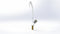 Arboles Right Hand Swan Neck (Cold Water) With Fixed Nozzle