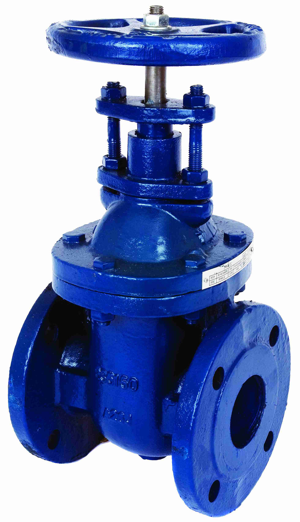 ART235 Cast Iron PN16 Flanged Gate Valve