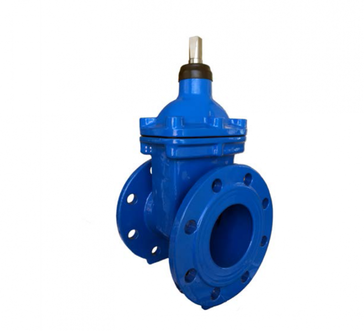 Aeon EcoValve Resilient seated gate valve PN16