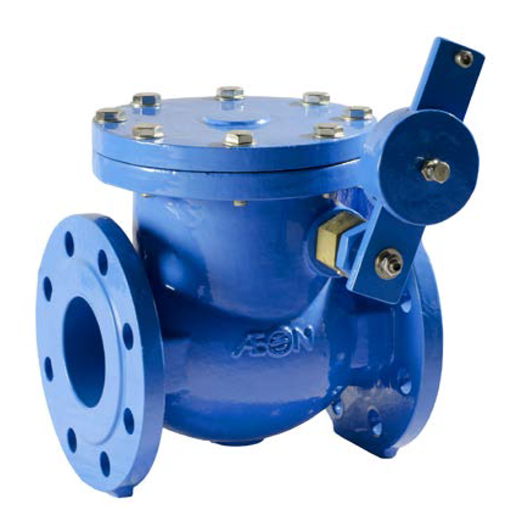 Aeon DN80 Swing Check Valves PN16