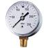 Capsule Gauge Millibar Scale BSPT