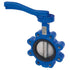 ART135 Ductile Iron Lugged & Tapped Butterfly Vlv