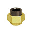 Durapipe HTA CPVC 3 Piece Union Female Thread Brass