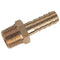 Brass Male BSPT x Hose Tail 1" size