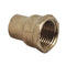 Endfeed C x FI Straight Coupler
