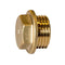 Brass Flanged Plug