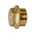 Brass Flanged Plug