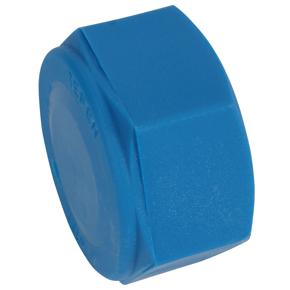 Tefen Nylon Blue Female Blanking Cap BSPT