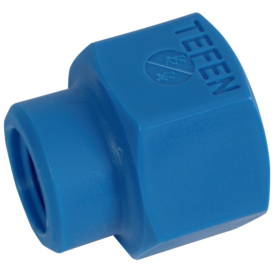 Tefen Nylon Blue Reducing Socket Female BSPT