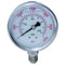 St.St. Gauge, Bot. Conn. Face BSPP