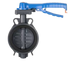 TP PVC-U Butterfly Valve EPDM